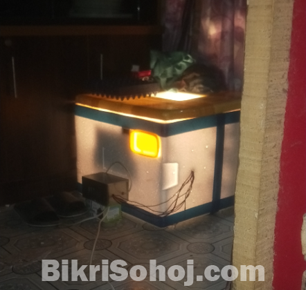 Auto Incubator